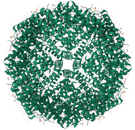 马铁蛋白E45C_C48A突变体